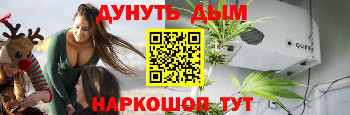 Бошки Шишки Ganja  Конопля THC 21%  Вход с VPN  Марихуана ГИДРОПОН  Россия 